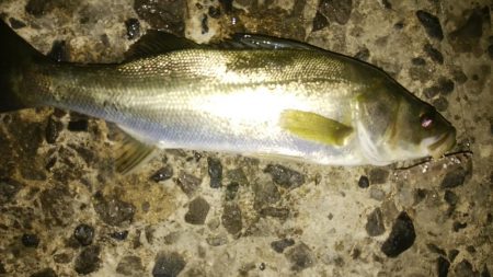 流れの中の変化